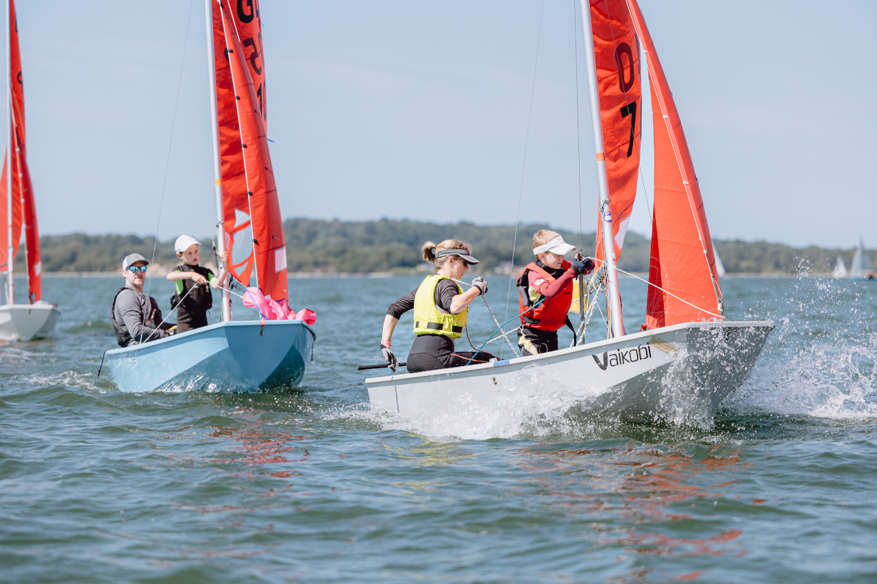 Picture 3 1280 x 853