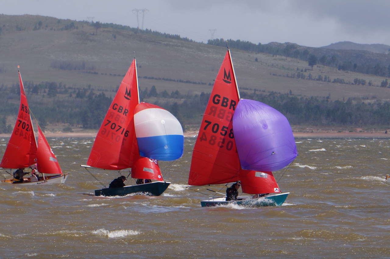 An aquamarine Mirror racing with spinnaker flying ahead of two others